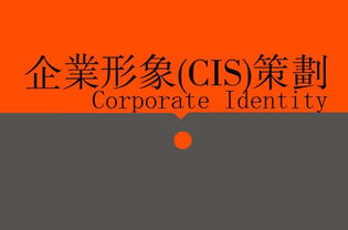 廣告、營(yíng)銷、品牌與企業(yè)策劃 戰(zhàn)略協(xié)同下的廣告設(shè)計(jì)核心